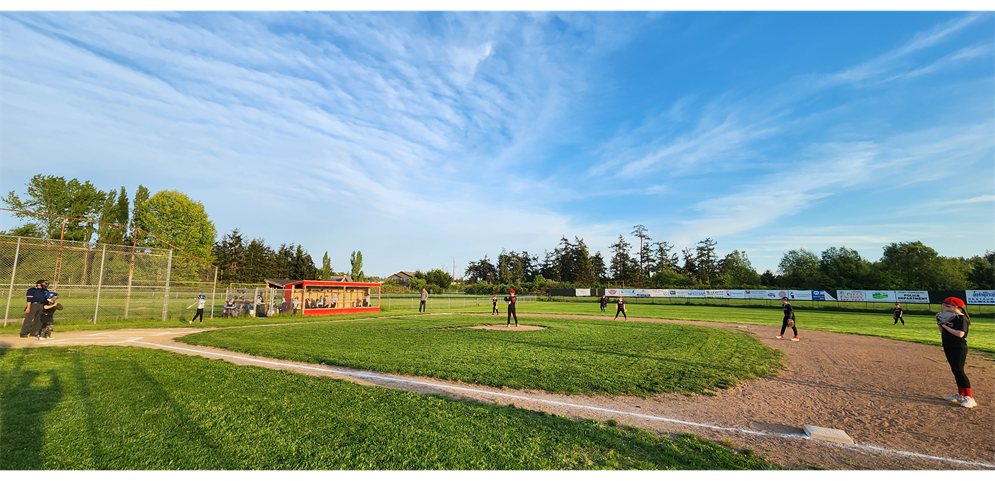 Softball in the Sun